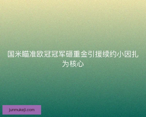 国米瞄准欧冠冠军砸重金引援续约小因扎为核心